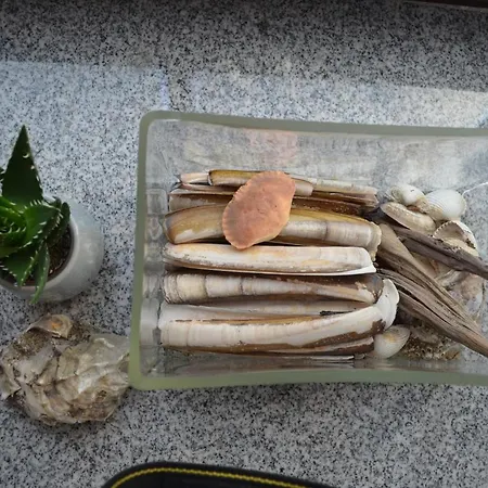 Lykkegard - Glueck Im Ehemaligen Weinkeller Apartament